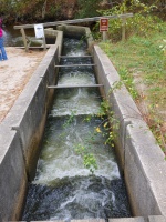 Herring Run IMG 4195